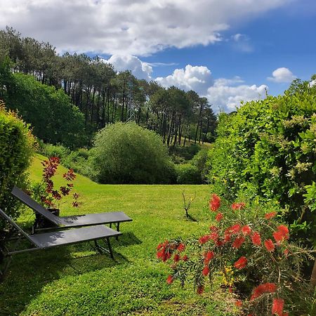 Appartement Calme Avec Jardin Bidart Biarritz エクステリア 写真