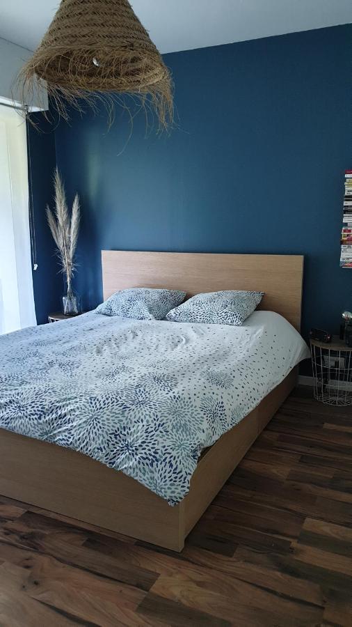 Appartement Calme Avec Jardin Bidart Biarritz エクステリア 写真