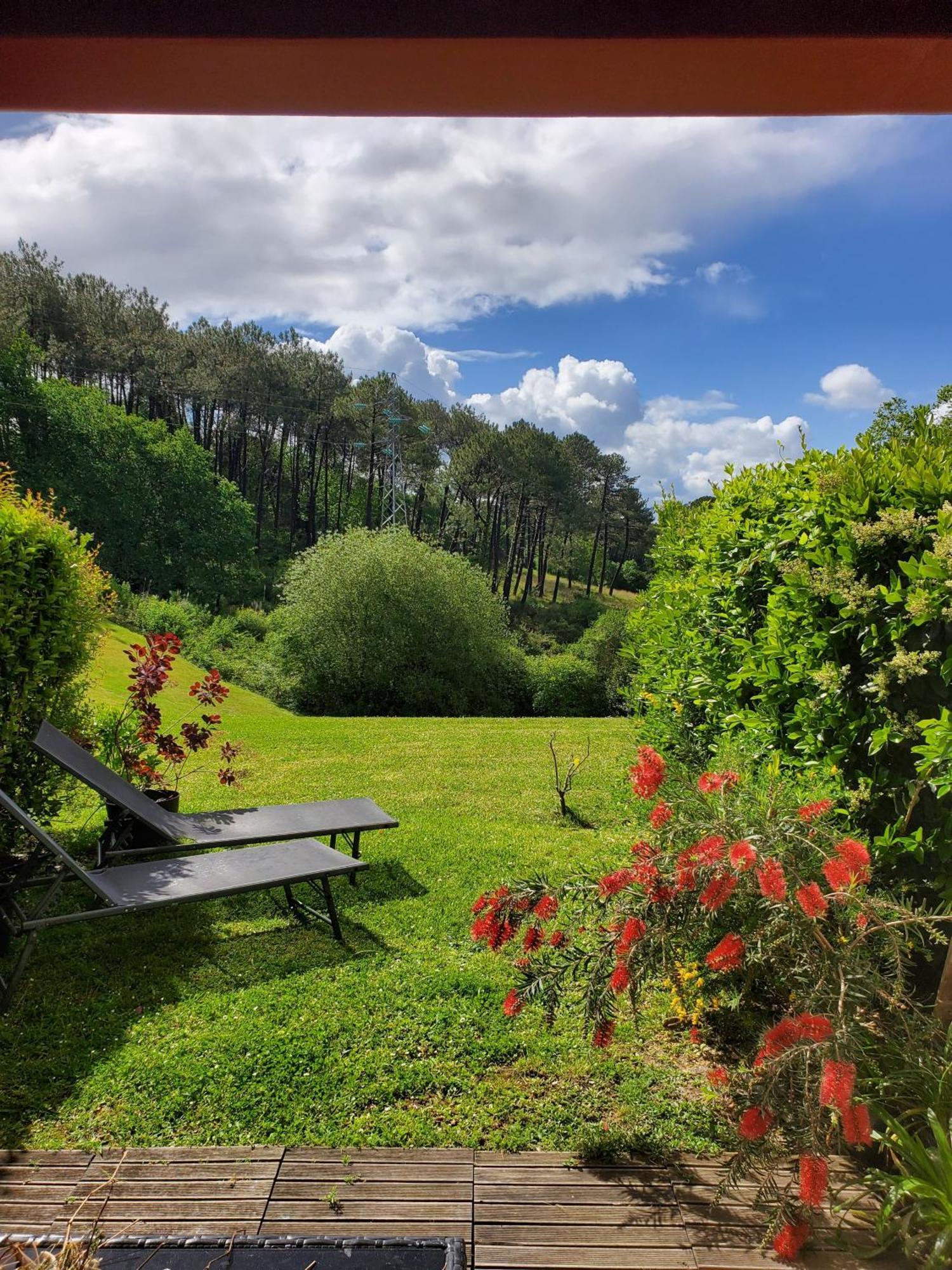 Appartement Calme Avec Jardin Bidart Biarritz エクステリア 写真